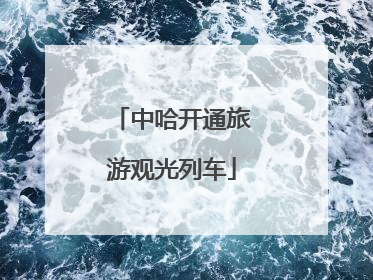 中哈开通旅游观光列车