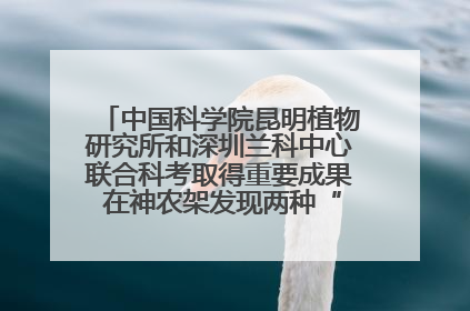 中国科学院昆明植物研究所和深圳兰科中心联合科考取得重要成果 在神农架发现两种“国保”级兰花