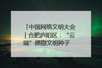 中国网络文明大会｜合肥庐阳区：“云端”播撒文明种子 共建清朗网络空间