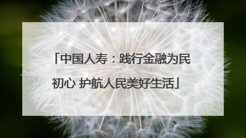 中国人寿：践行金融为民初心 护航人民美好生活