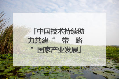 中国技术持续助力共建“一带一路”国家产业发展