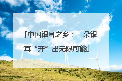 中国银耳之乡：一朵银耳“开”出无限可能