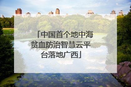 中国首个地中海贫血防治智慧云平台落地广西