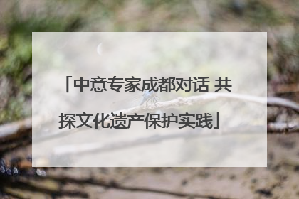 中意专家成都对话 共探文化遗产保护实践