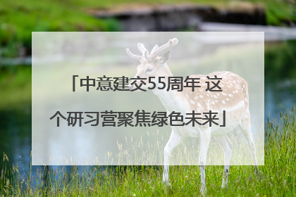 中意建交55周年 这个研习营聚焦绿色未来
