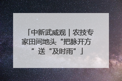 中新武威观｜农技专家田间地头“把脉开方”送“及时雨”