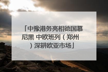中豫港务亮相德国慕尼黑 中欧班列（郑州）深耕欧亚市场