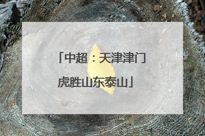 中超:天津津门虎胜山东泰山