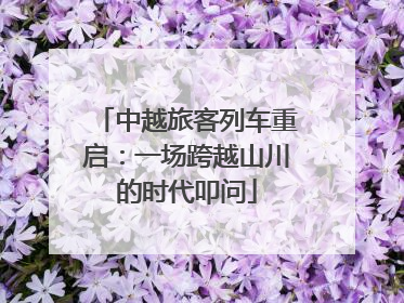 中越旅客列车重启：一场跨越山川的时代叩问
