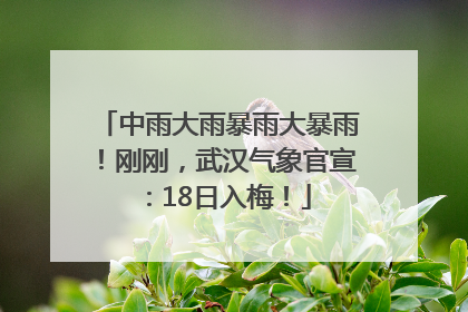 中雨大雨暴雨大暴雨！刚刚，武汉气象官宣：18日入梅！