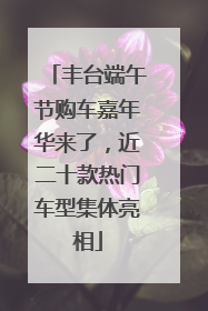 丰台端午节购车嘉年华来了，近二十款热门车型集体亮相