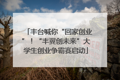 丰台喊你“回家创业”！“丰翼创未来”大学生创业争霸赛启动