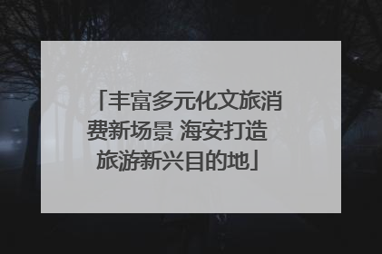丰富多元化文旅消费新场景 海安打造旅游新兴目的地