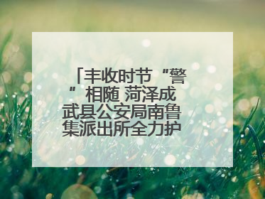 丰收时节“警”相随 菏泽成武县公安局南鲁集派出所全力护航大蒜收获季