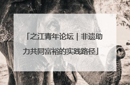 之江青年论坛｜非遗助力共同富裕的实践路径