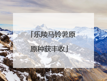 乐陵马铃薯原原种获丰收