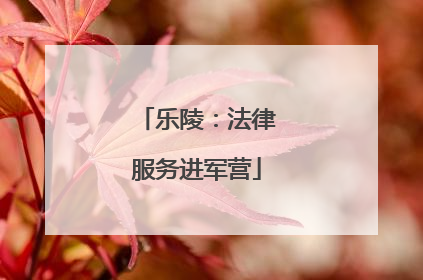 乐陵：法律服务进军营