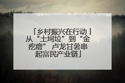 乡村振兴在行动丨从“土坷垃”到“金疙瘩” 卢龙甘薯串起富民产业链
