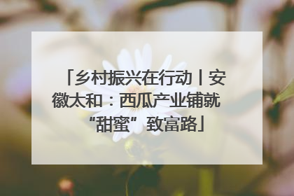 乡村振兴在行动丨安徽太和：西瓜产业铺就“甜蜜”致富路