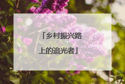 乡村振兴路上的追光者