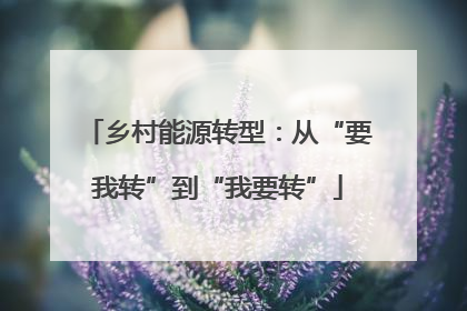 乡村能源转型：从“要我转”到“我要转”