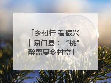 乡村行 看振兴｜易门县：“桃”醉盛夏乡村富