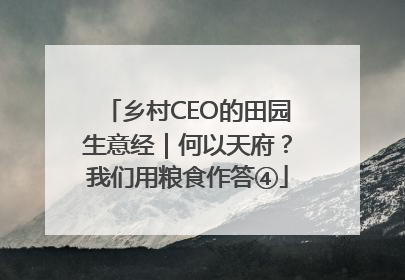 乡村CEO的田园生意经｜何以天府？我们用粮食作答④