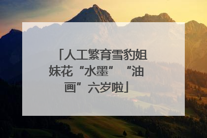 人工繁育雪豹姐妹花“水墨”“油画”六岁啦