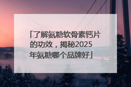 了解氨糖软骨素钙片的功效，揭秘2025年氨糖哪个品牌好