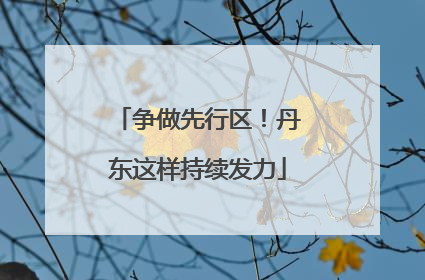 争做先行区！丹东这样持续发力