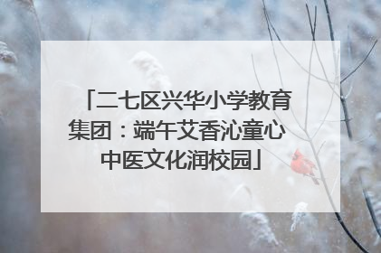 二七区兴华小学教育集团：端午艾香沁童心 中医文化润校园