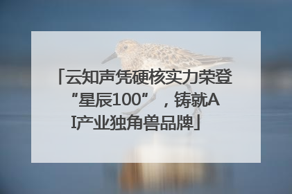 云知声凭硬核实力荣登“星辰100”，铸就AI产业独角兽品牌