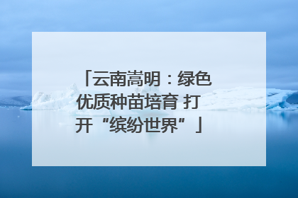 云南嵩明：绿色优质种苗培育 打开“缤纷世界”