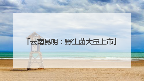 云南昆明：野生菌大量上市