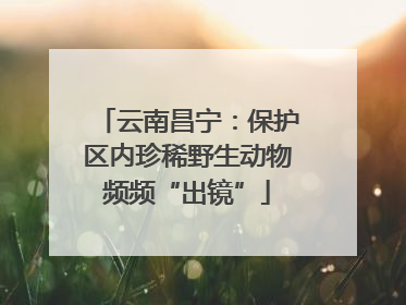 云南昌宁：保护区内珍稀野生动物频频“出镜”