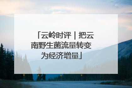 云岭时评｜把云南野生菌流量转变为经济增量