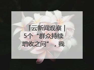 云新闻观察｜5个“群众持续增收之问”，我们如何作答