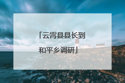 云霄县县长到和平乡调研