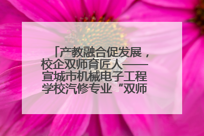 产教融合促发展，校企双师育匠人——宣城市机械电子工程学校汽修专业“双师”教学月活动收官