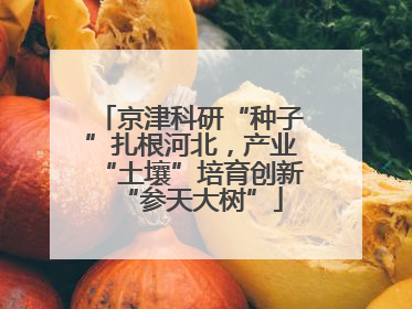 京津科研“种子”扎根河北，产业“土壤”培育创新“参天大树”