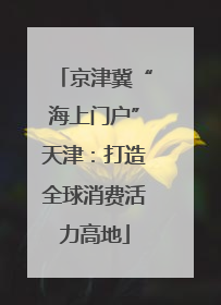 京津冀“海上门户”天津：打造全球消费活力高地
