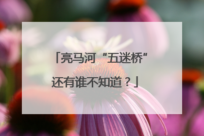 亮马河“五迷桥”还有谁不知道？