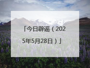 今日辟谣（2025年5月28日）