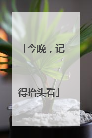 今晚，记得抬头看