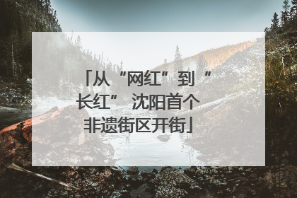 从“网红”到“长红” 沈阳首个非遗街区开街