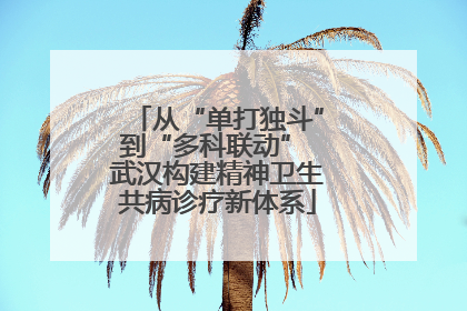 从“单打独斗”到“多科联动” 武汉构建精神卫生共病诊疗新体系