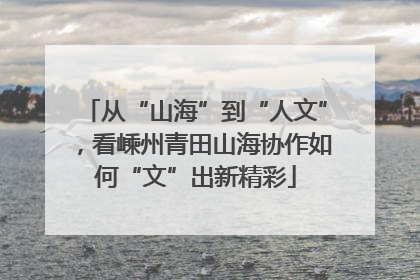 从“山海”到“人文”，看嵊州青田山海协作如何“文”出新精彩