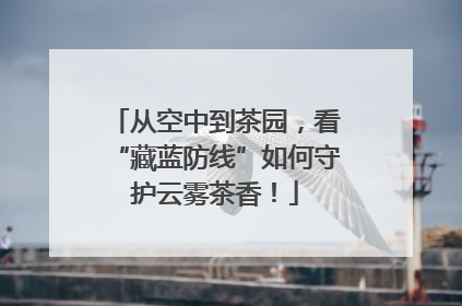 从空中到茶园，看“藏蓝防线”如何守护云雾茶香！