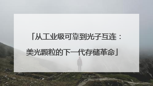 从工业级可靠到光子互连：美光颗粒的下一代存储革命