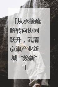 从承接疏解转向协同跃升，武清京津产业新城“焕新”